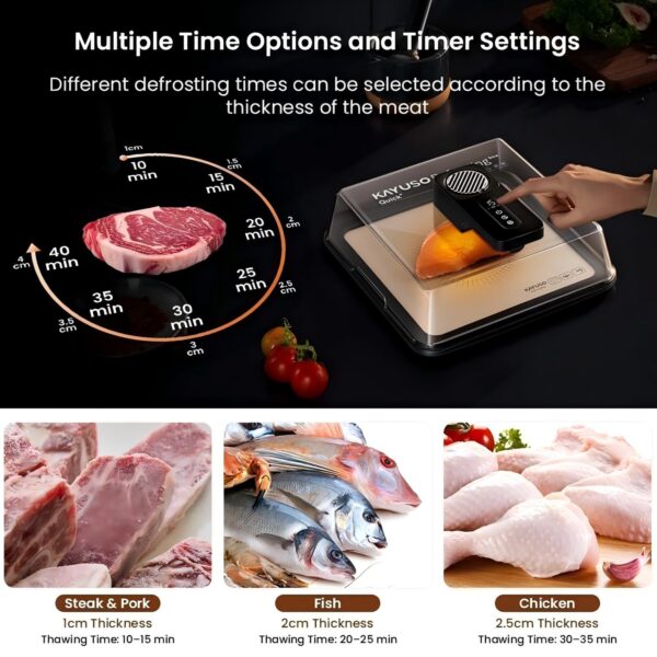 61LlFJ327ZL._AC_SL1000_ Defrosting Tray for Frozen Meat
