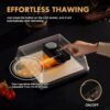 71LTi+a5N4L._AC_SL1500_ Defrosting Tray for Frozen Meat