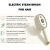 Electric Steam Brush