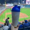 Sunflower Seed Snack Cup