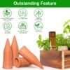 Terracotta Watering Spikes Devices