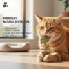 3 Pack Fish Bone Cat Dental Chew Toy