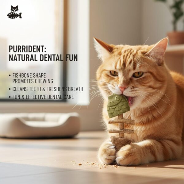 3 Pack Fish Bone Cat Dental Chew Toy