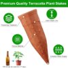 Terracotta Watering Spikes Devices