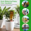 Terracotta Watering Spikes Devices