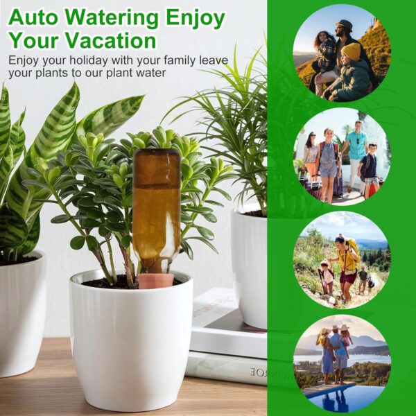 Terracotta Watering Spikes Devices