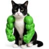 Cat Muscle Arms