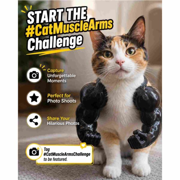 Cat Muscle Arms